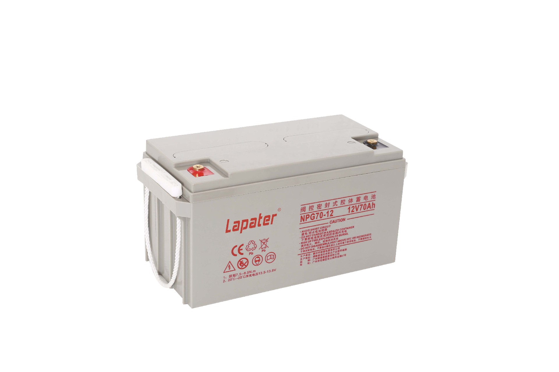 NPG70-12 (1)lapater.jpg