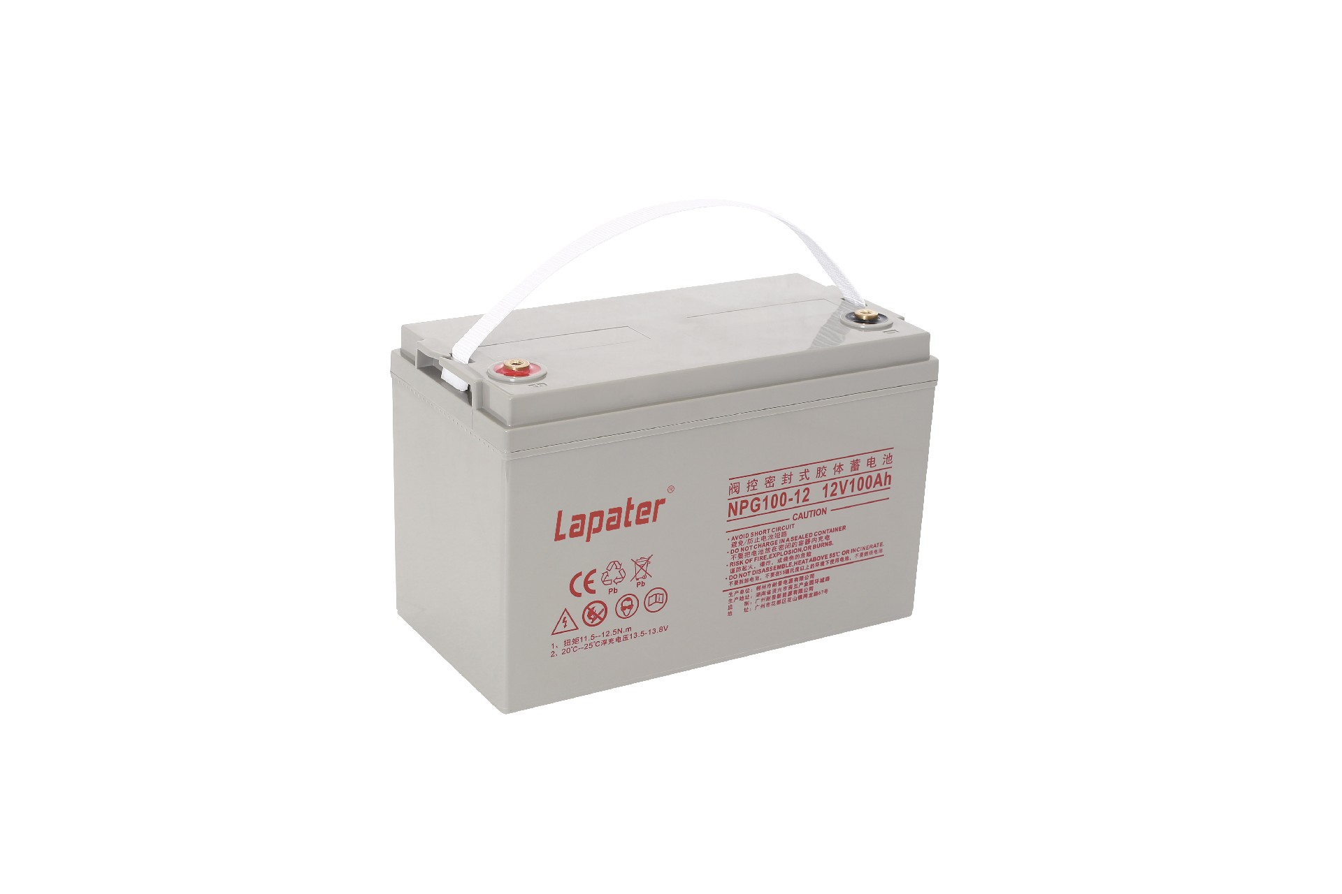 NPG100-12(X) (1)lapater.jpg
